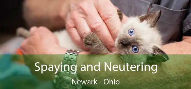 Spaying and Neutering Newark - Ohio