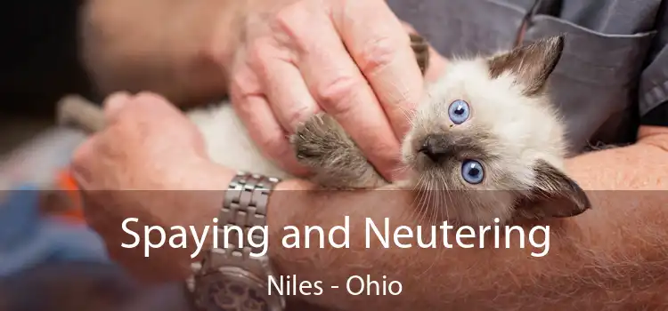 Spaying and Neutering Niles - Ohio