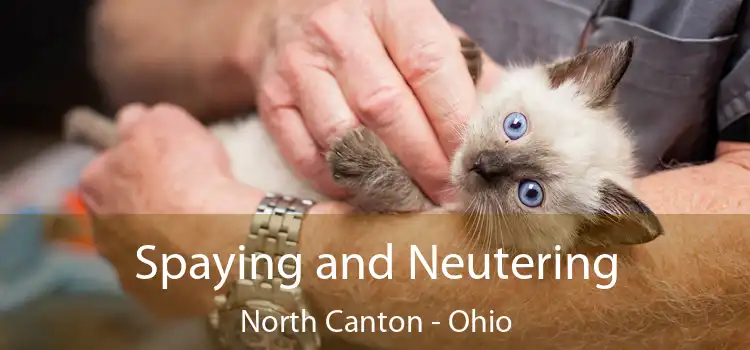 Spaying and Neutering North Canton - Ohio