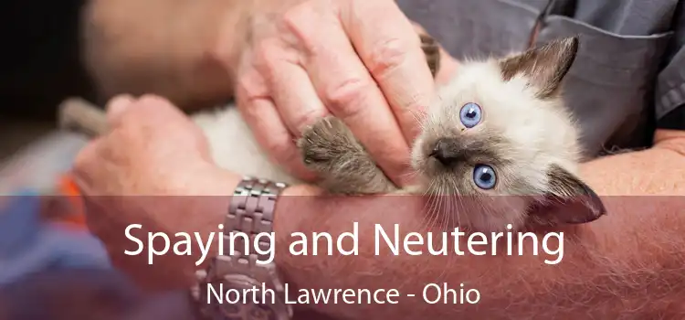 Spaying and Neutering North Lawrence - Ohio