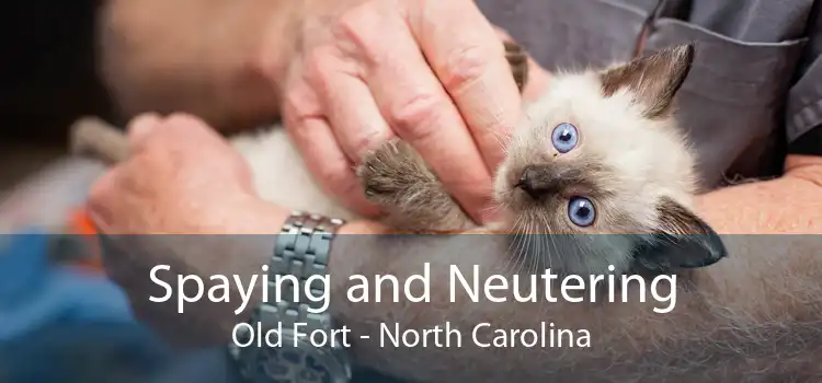Spaying and Neutering Old Fort - North Carolina