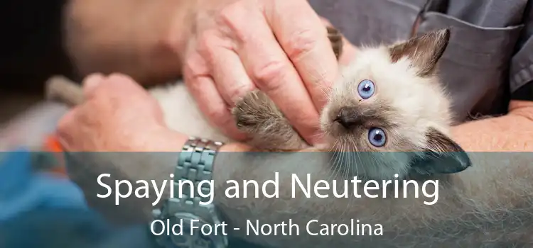 Spaying and Neutering Old Fort - North Carolina