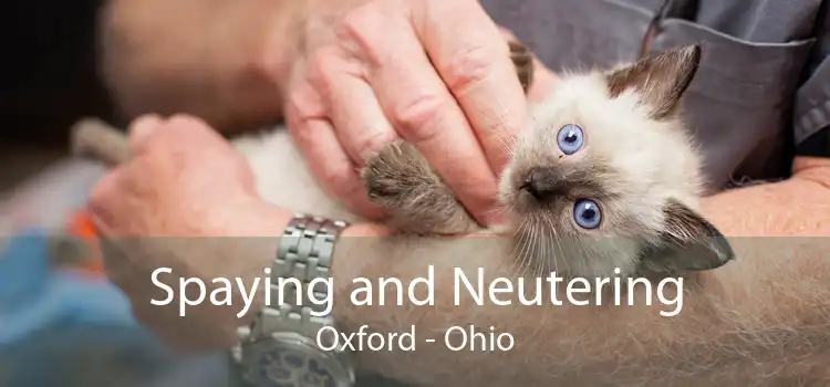 Spaying and Neutering Oxford - Ohio