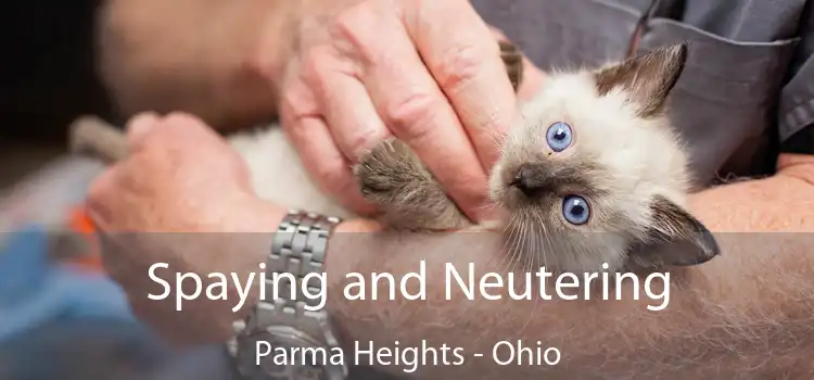 Spaying and Neutering Parma Heights - Ohio