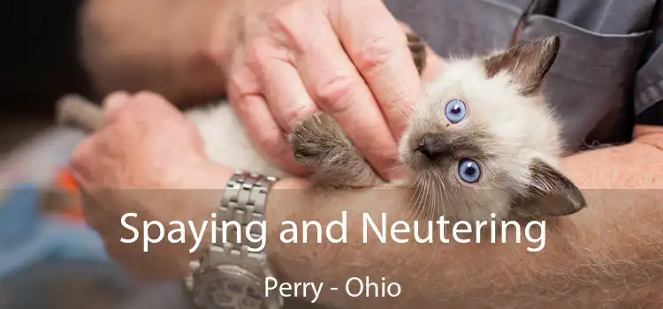 Spaying and Neutering Perry - Ohio