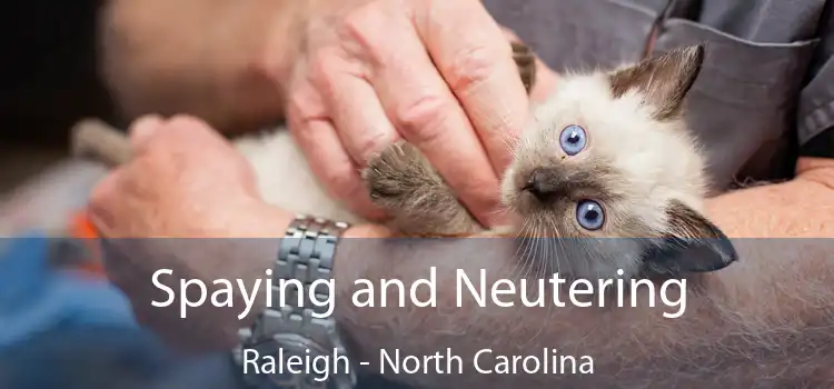 Spaying and Neutering Raleigh - North Carolina