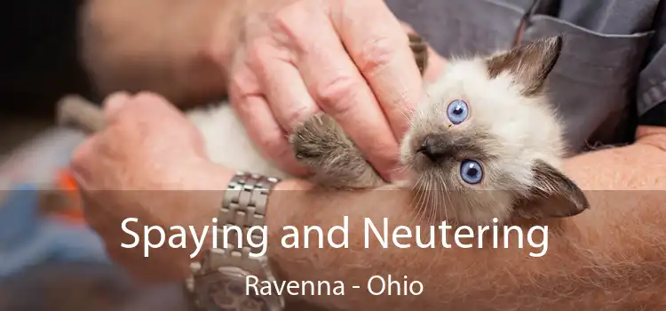 Spaying and Neutering Ravenna - Ohio