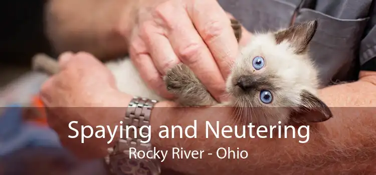 Spaying and Neutering Rocky River - Ohio