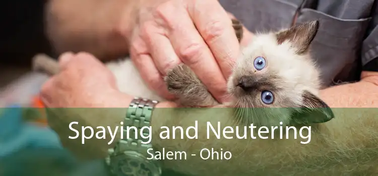 Spaying and Neutering Salem - Ohio