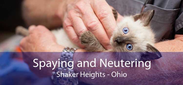 Spaying and Neutering Shaker Heights - Ohio