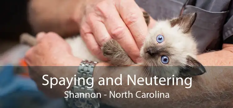 Spaying and Neutering Shannon - North Carolina