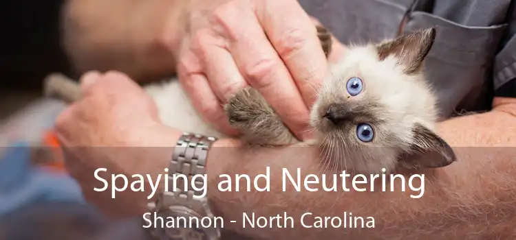 Spaying and Neutering Shannon - North Carolina