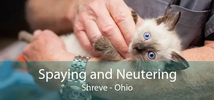 Spaying and Neutering Shreve - Ohio