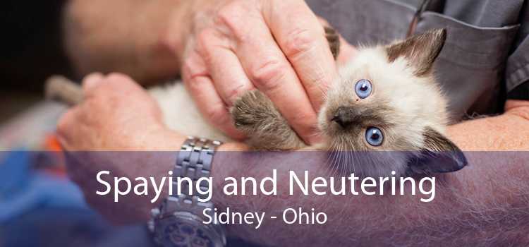 Spaying and Neutering Sidney - Ohio