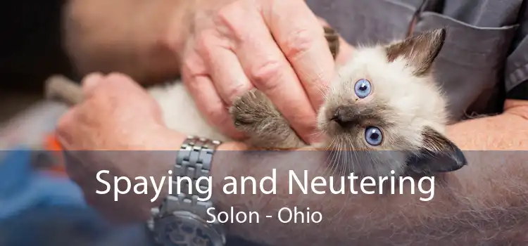 Spaying and Neutering Solon - Ohio