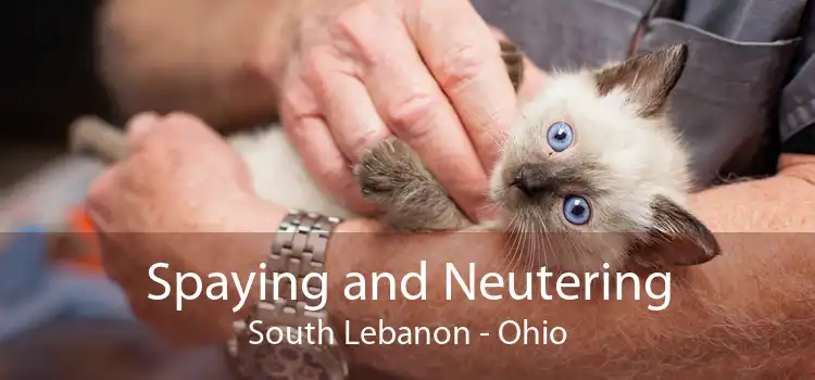 Spaying and Neutering South Lebanon - Ohio