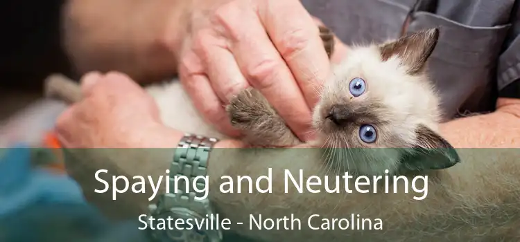Spaying and Neutering Statesville - North Carolina