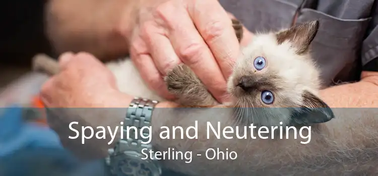 Spaying and Neutering Sterling - Ohio