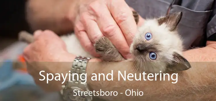 Spaying and Neutering Streetsboro - Ohio