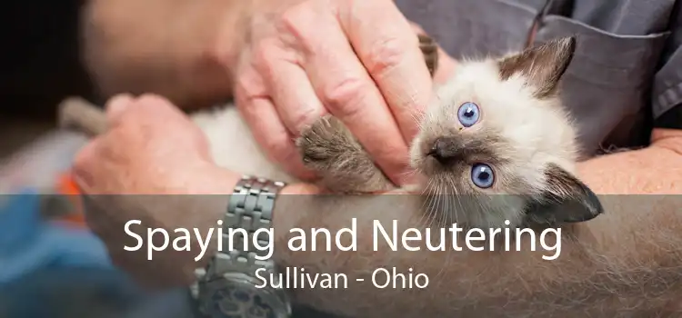 Spaying and Neutering Sullivan - Ohio