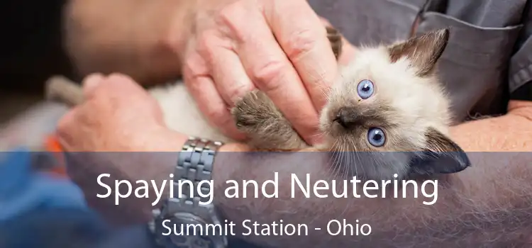 Spaying and Neutering Summit Station - Ohio