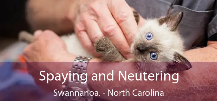 Spaying and Neutering Swannanoa. - North Carolina