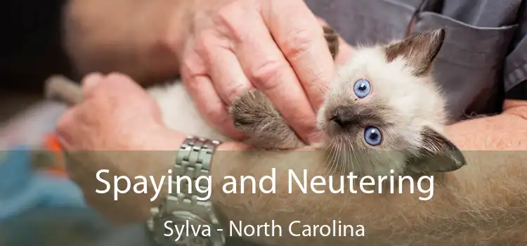 Spaying and Neutering Sylva - North Carolina