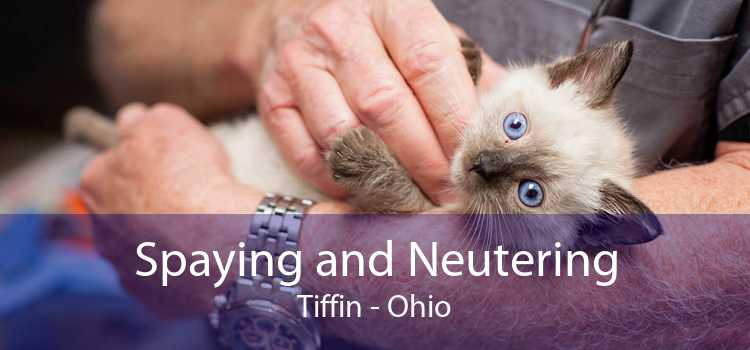 Spaying and Neutering Tiffin - Ohio
