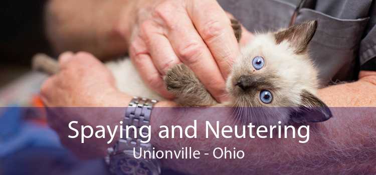 Spaying and Neutering Unionville - Ohio