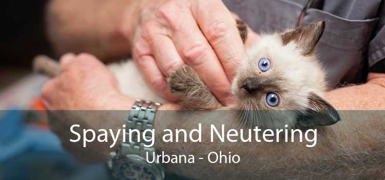 Spaying and Neutering Urbana - Ohio