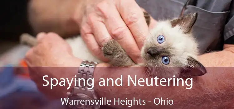 Spaying and Neutering Warrensville Heights - Ohio