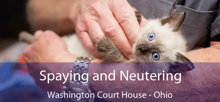 Spaying and Neutering Washington Court House - Ohio