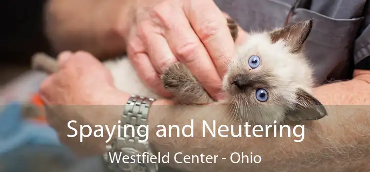 Spaying and Neutering Westfield Center - Ohio