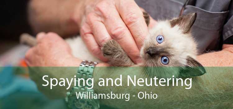 Spaying and Neutering Williamsburg - Ohio