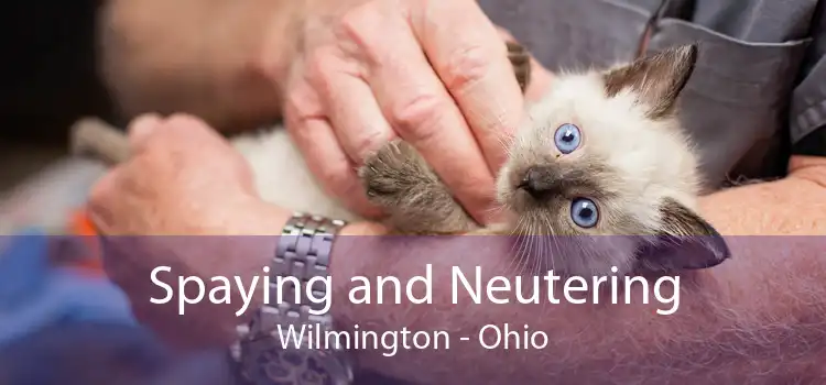 Spaying and Neutering Wilmington - Ohio