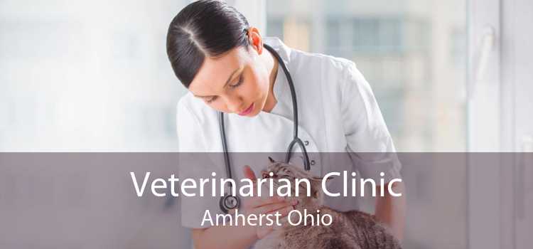 Veterinarian Clinic Amherst Ohio