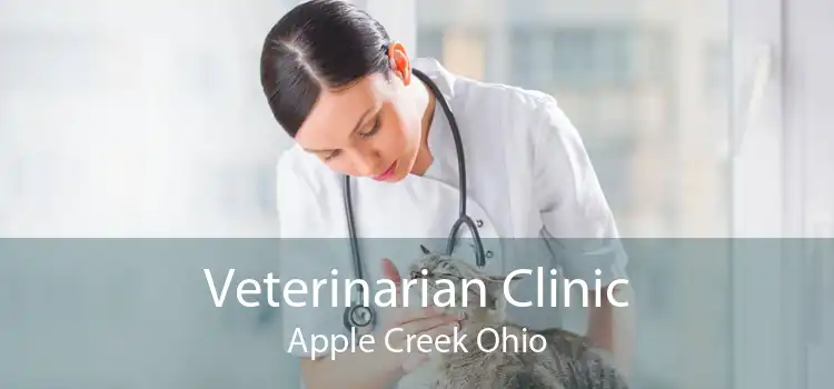 Veterinarian Clinic Apple Creek Ohio