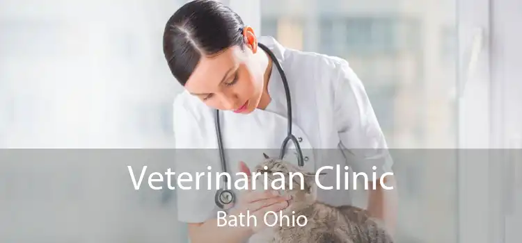 Veterinarian Clinic Bath Ohio