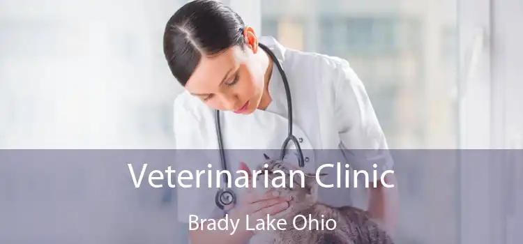 Veterinarian Clinic Brady Lake Ohio