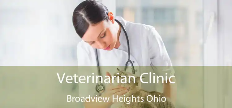 Veterinarian Clinic Broadview Heights Ohio