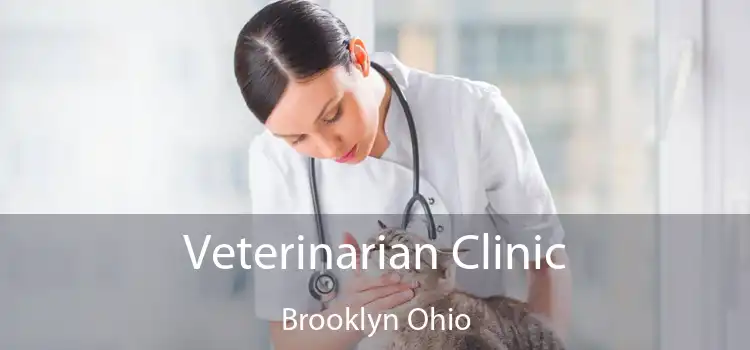Veterinarian Clinic Brooklyn Ohio