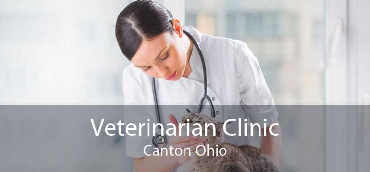 Veterinarian Clinic Canton Ohio