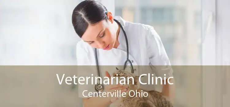 Veterinarian Clinic Centerville Ohio