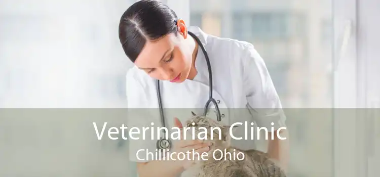 Veterinarian Clinic Chillicothe Ohio