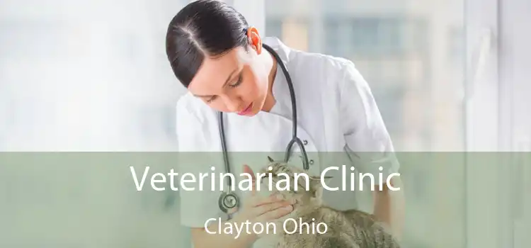 Veterinarian Clinic Clayton Ohio