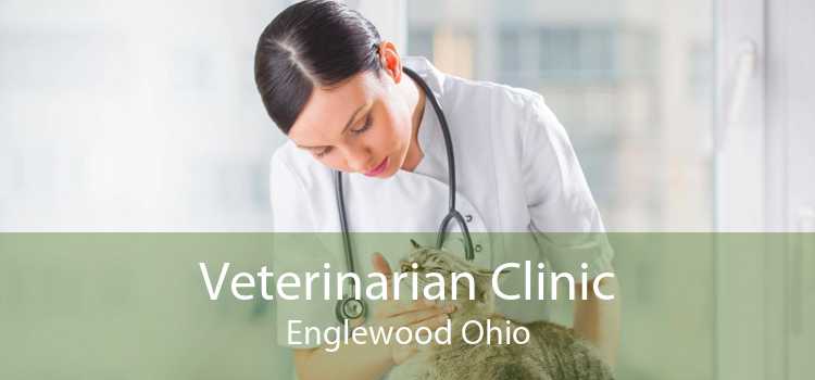 Veterinarian Clinic Englewood Ohio