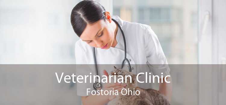Veterinarian Clinic Fostoria Ohio