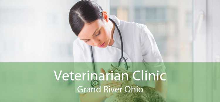 Veterinarian Clinic Grand River Ohio