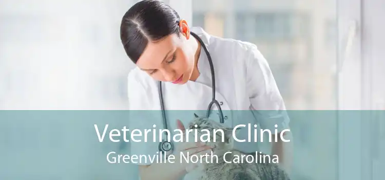 Veterinarian Clinic Greenville North Carolina