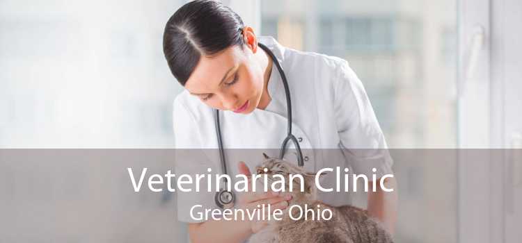 Veterinarian Clinic Greenville Ohio